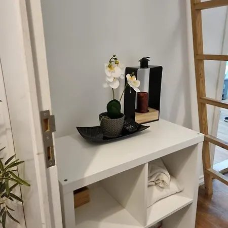 Charm Discovery Braul Apartament