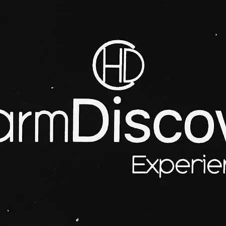 Daire Charm Discovery Braul